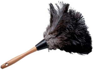 feather duster