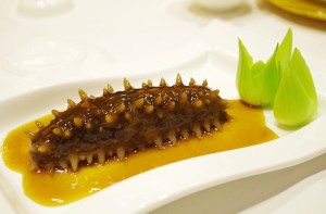 sea-cucumber