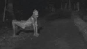 skinwalker